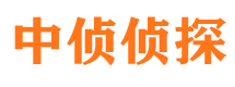 巴东市调查公司